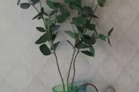 Искусственные веточки эвкалипта, 50.00 ₽, Gorno-Altaysk